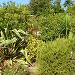 Villa Les Hauts De Benista Porticcio