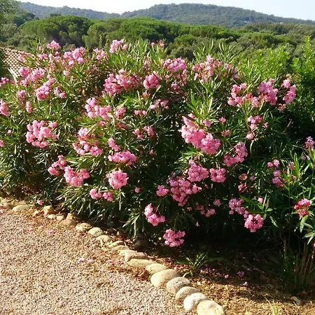 Les Hauts De Benista
