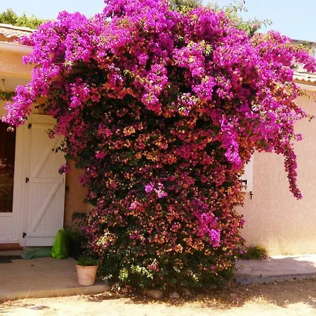 Les Hauts De Benista *