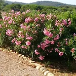 Les Hauts De Benista