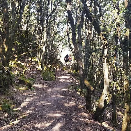 Villa Les Hauts De Benista *