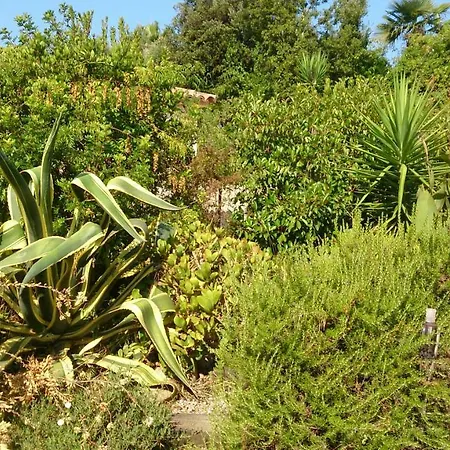 Villa Les Hauts De Benista Porticcio (Corsica)