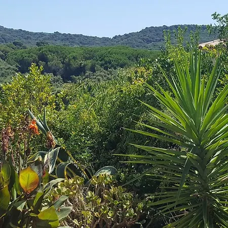 فيلة Les Hauts De Benista