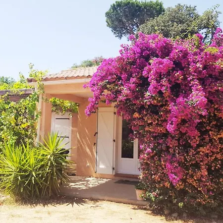 Les Hauts De Benista *