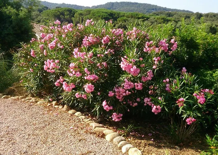 Les Hauts De Benista