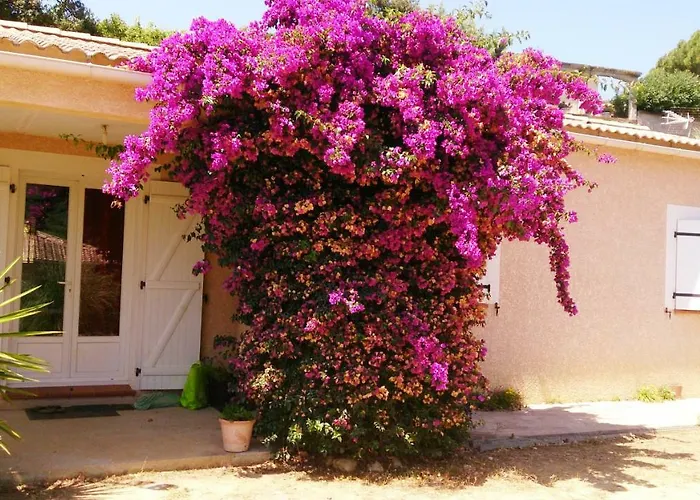 Les Hauts De Benista *